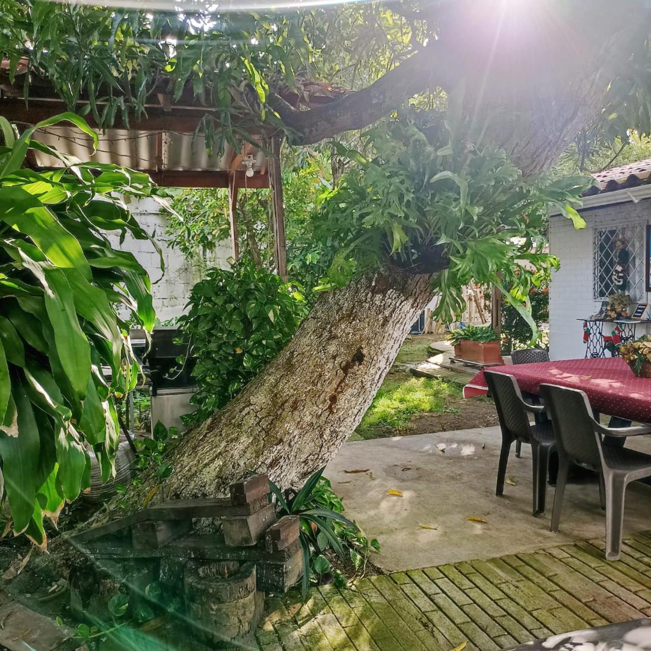 Hostal Corales Tolú Exterior foto